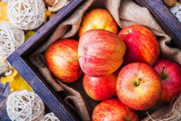 سیب برای یبوست