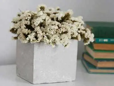 خشک کردن گلهای طبیعی, روش خشک کردن گل