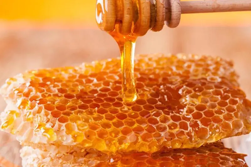 ۴ روش خانگی برای درمان خشکی لب در پاییز؛ از عسل تا روغن نارگیل