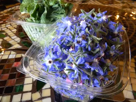 طرز تهیه مربای گل گاوزبان تازه طریقه درست کردن مربای گل گاوزبان , مربای گل گاوزبان تازه ,مربای گل گاوزبان با لیمو عمانی