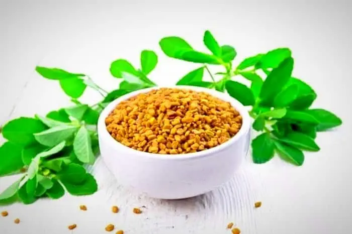 فواید شنبلیله