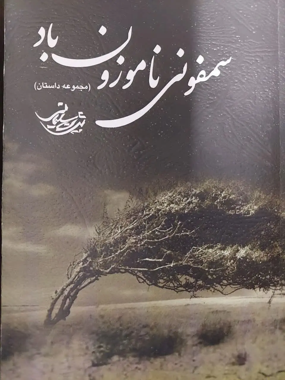 طرح جلد کتاب بیژن سلیمانی، معلم هنر و داستان نویس