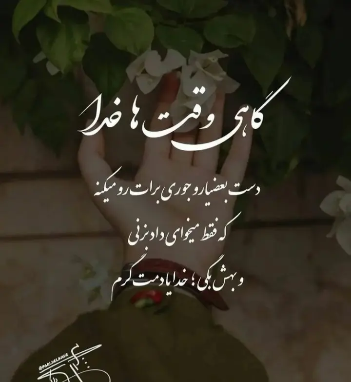God_s profile (57)