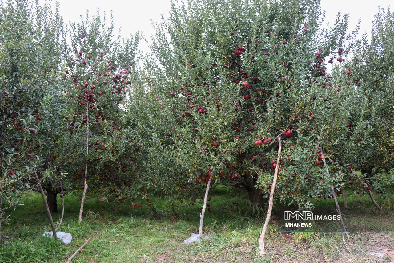 عصرانه خبری شهرهای ایران در ۳۰ فروردین‌