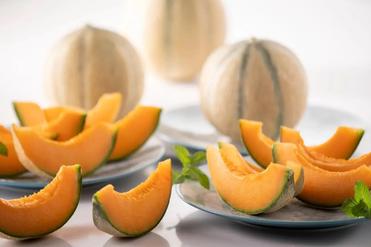 Melon (3)