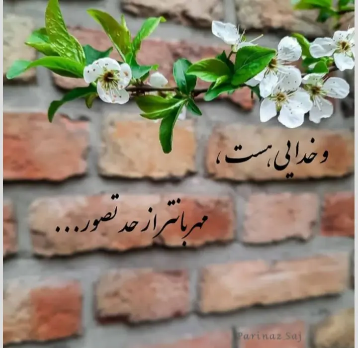 God_s profile (59)