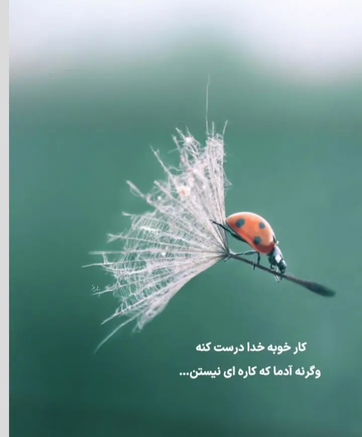 عکس نوشته خدا