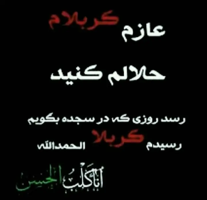 استوری عازم کربلا هستم حلالم کنید (18)