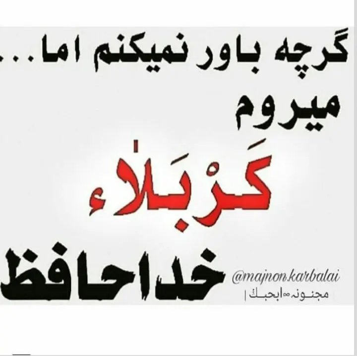 استوری عازم کربلا هستم حلالم کنید (15)
