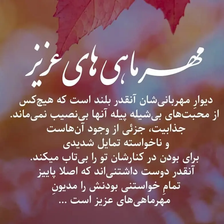 mehrmahi profile (34)