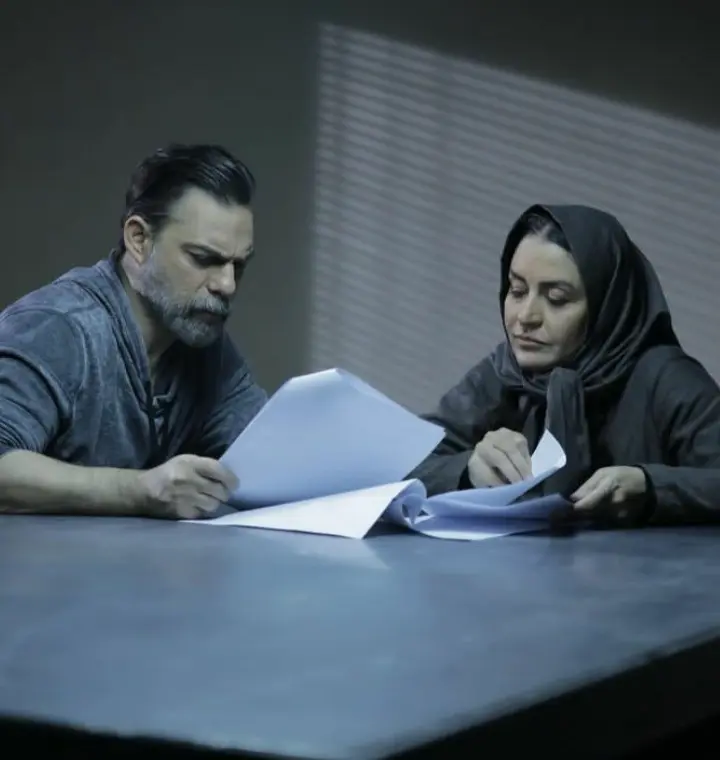 پیمان معادی
