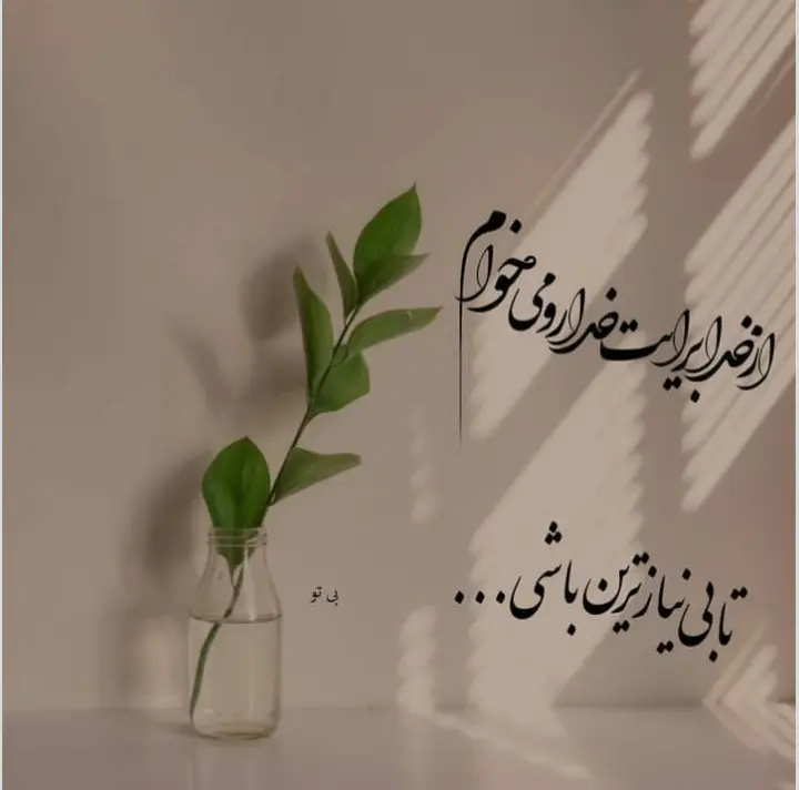 God_s profile (52)