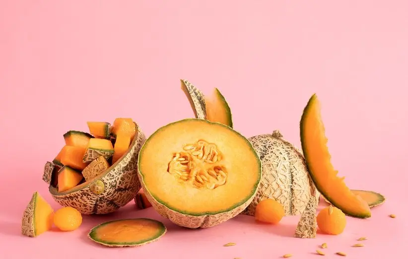 cantaloupe (5)