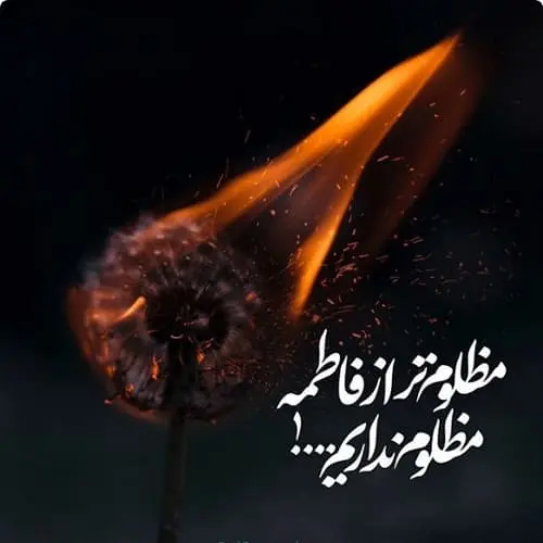 عکس شهادت حضرت زهرا (19)