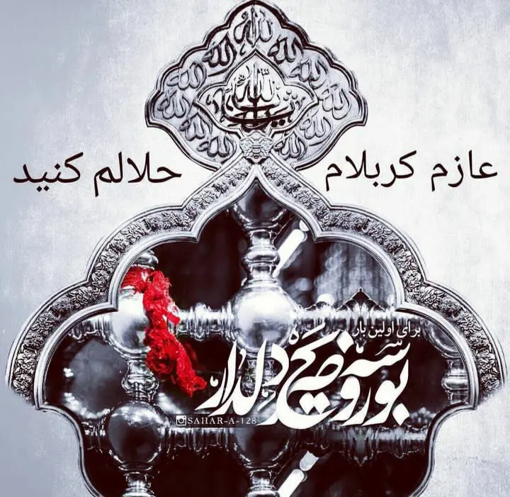 استوری عازم کربلا هستم حلالم کنید (8)