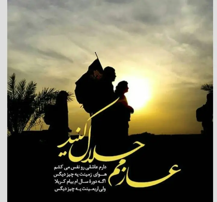 استوری عازم کربلا هستم حلالم کنید (9)