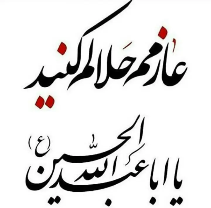 استوری عازم کربلا هستم حلالم کنید (5)