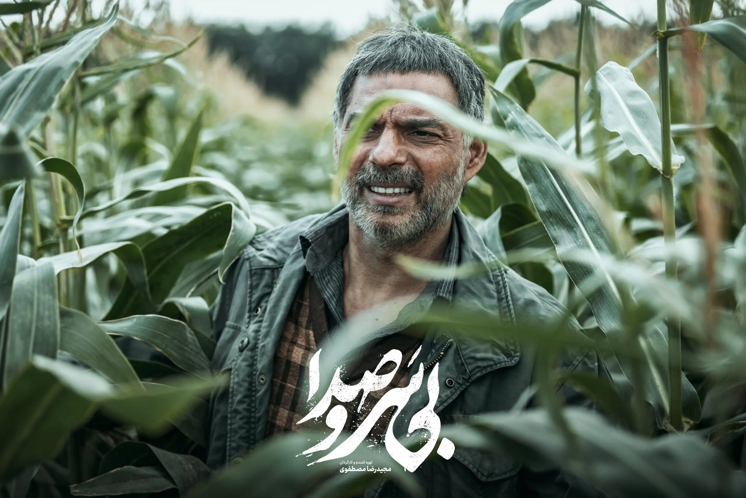 فیلم بی سر و صدا (1)