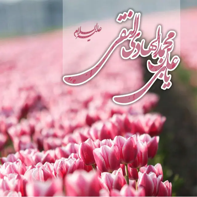 عکس نوشته تبریک ولادت امام هادی (9)