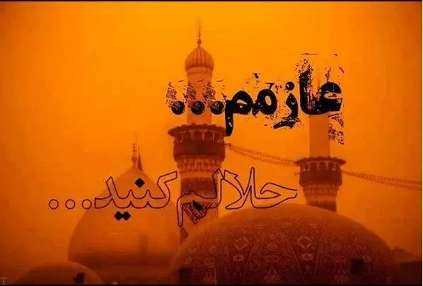 استوری عازم کربلا هستم حلالم کنید (11)