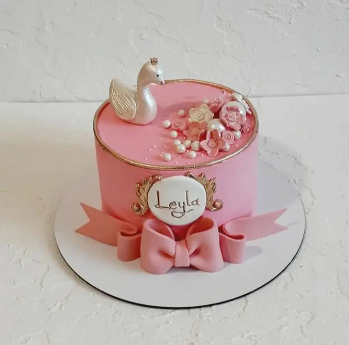 Girl_s Day Cake (52)