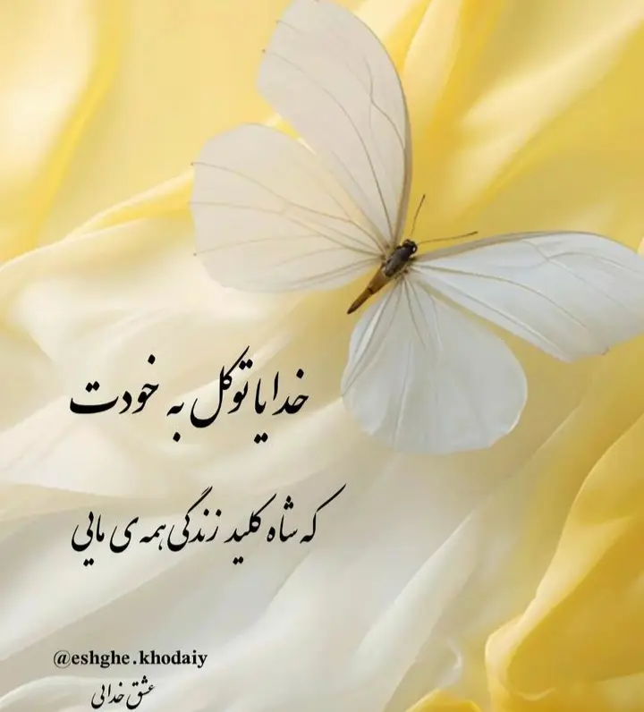 God_s profile (42)