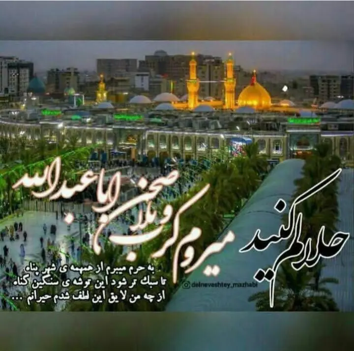 استوری عازم کربلا هستم حلالم کنید (22)