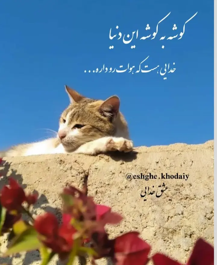 God_s profile (45)