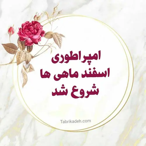 esfand profile (30)