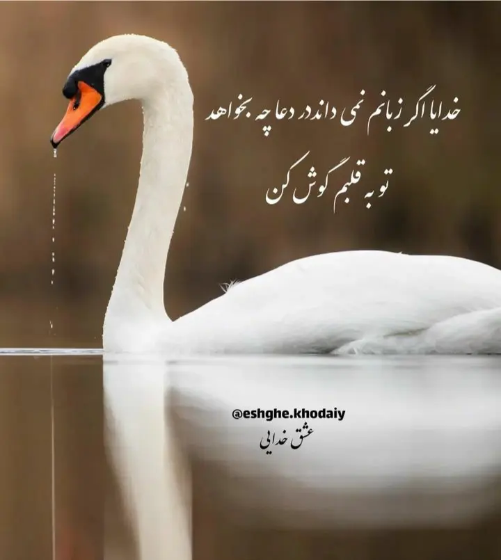 God_s profile (36)