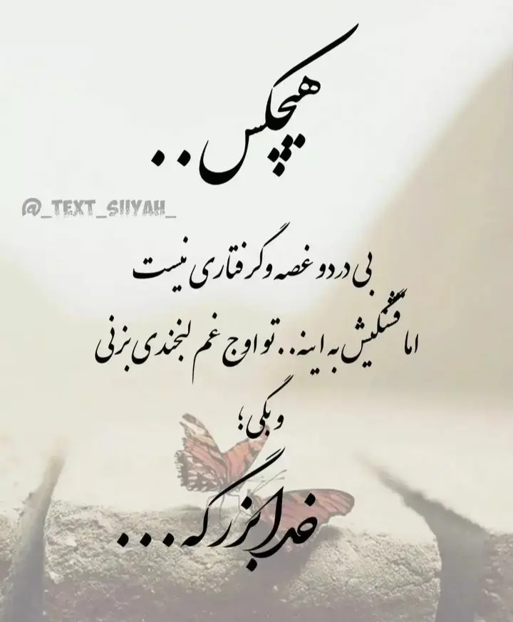 God_s profile (14)