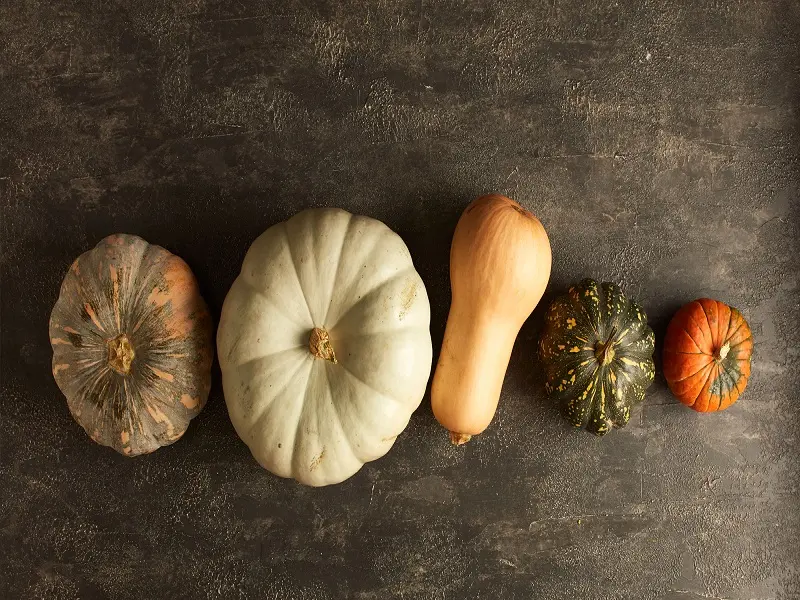 pumpkin (1)