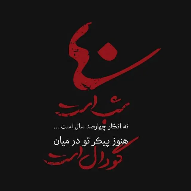 تصاویر با کیفیت اربعین حسینی (56)