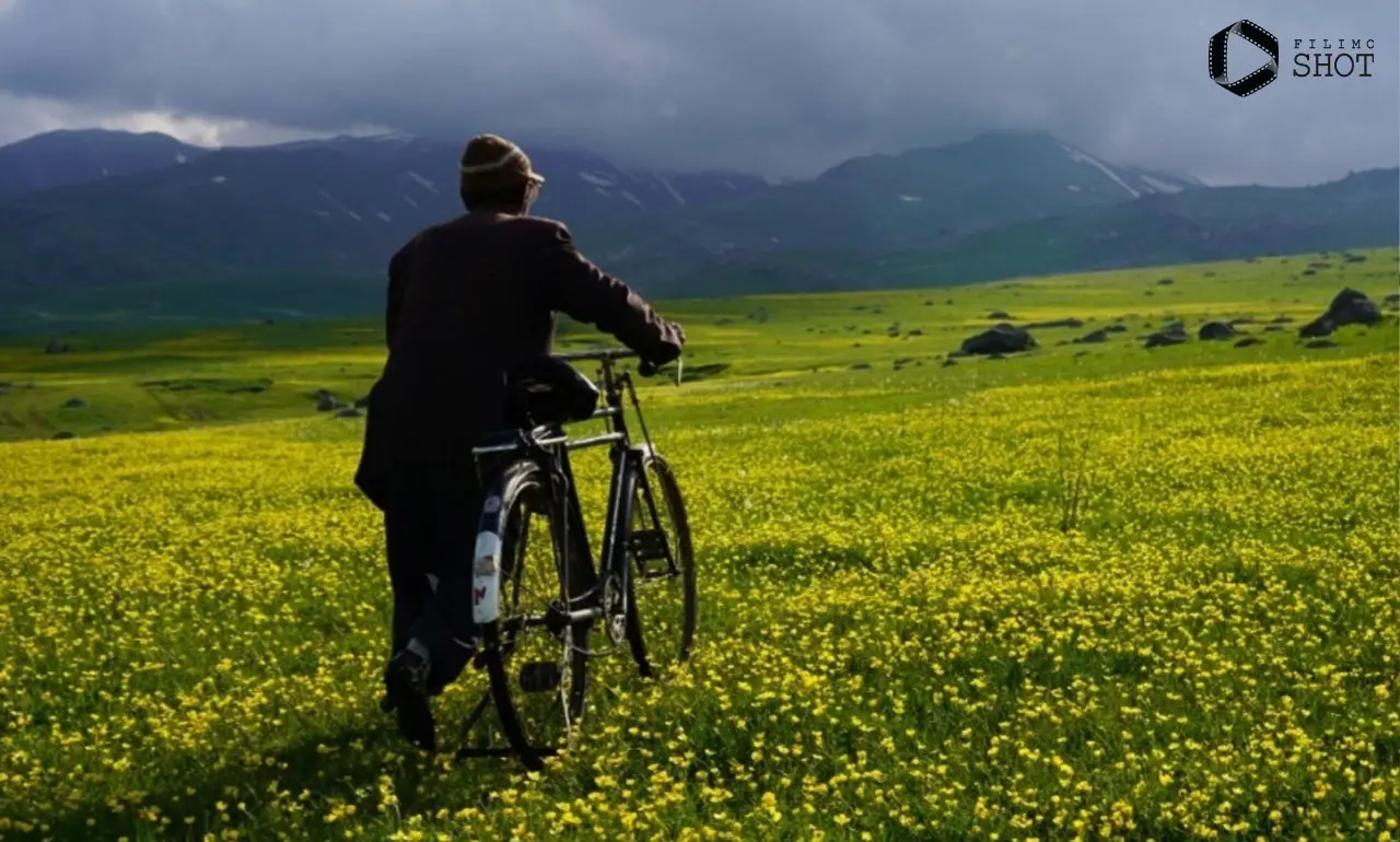 فیلم سونسوز (5)