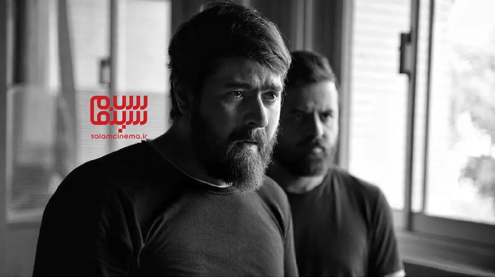 هامون سیدی در طلا