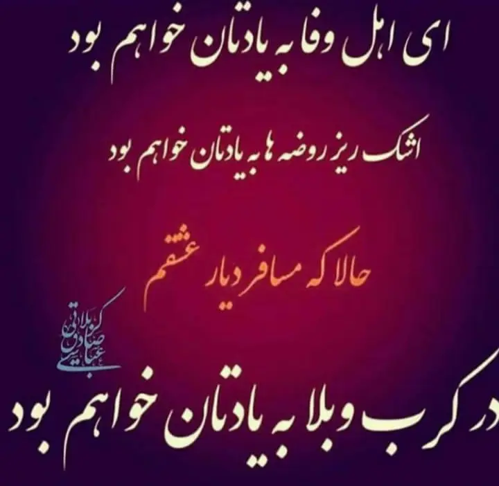 استوری عازم کربلا هستم حلالم کنید (19)