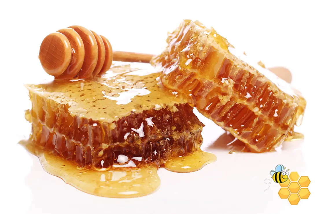 honey (4)