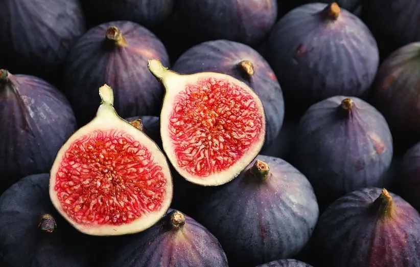 انجیر (1)