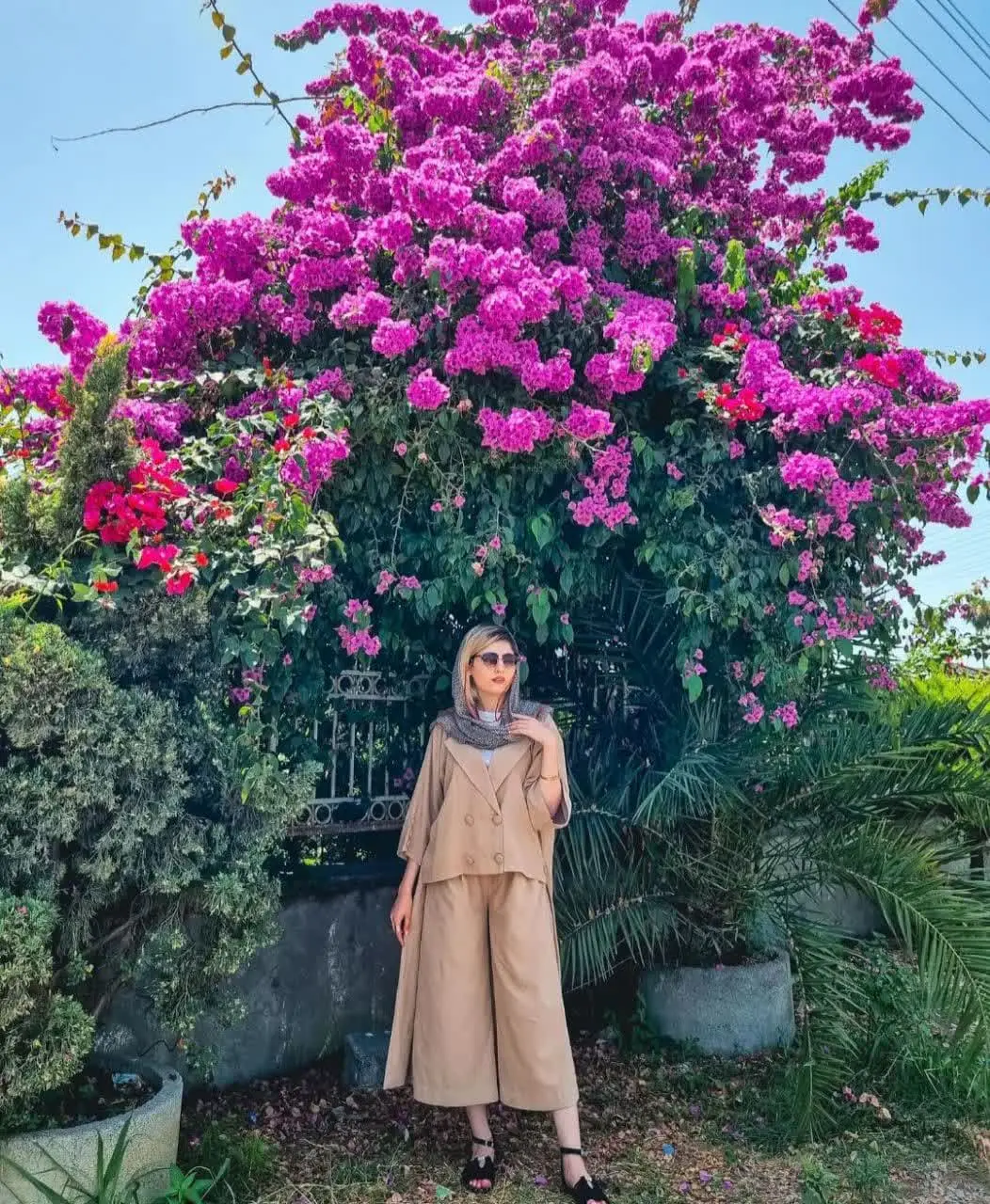 Parisa Dosti (9)