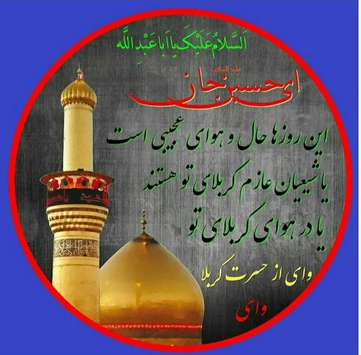استوری عازم کربلا هستم حلالم کنید (27)