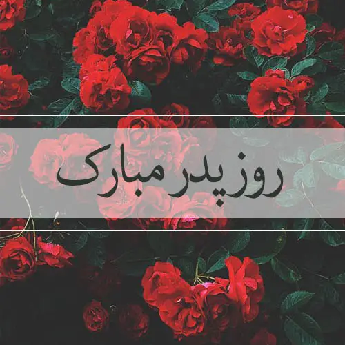 پروفایل روز پدر مبارک (53)