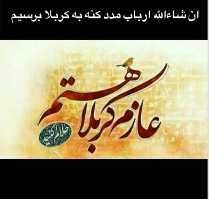 استوری عازم کربلا هستم حلالم کنید (17)