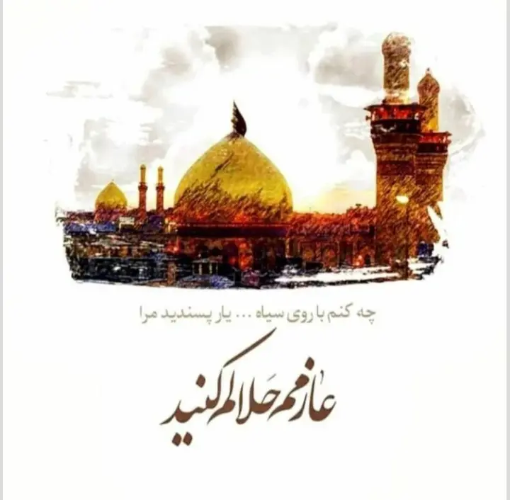 استوری عازم کربلا هستم حلالم کنید (33)