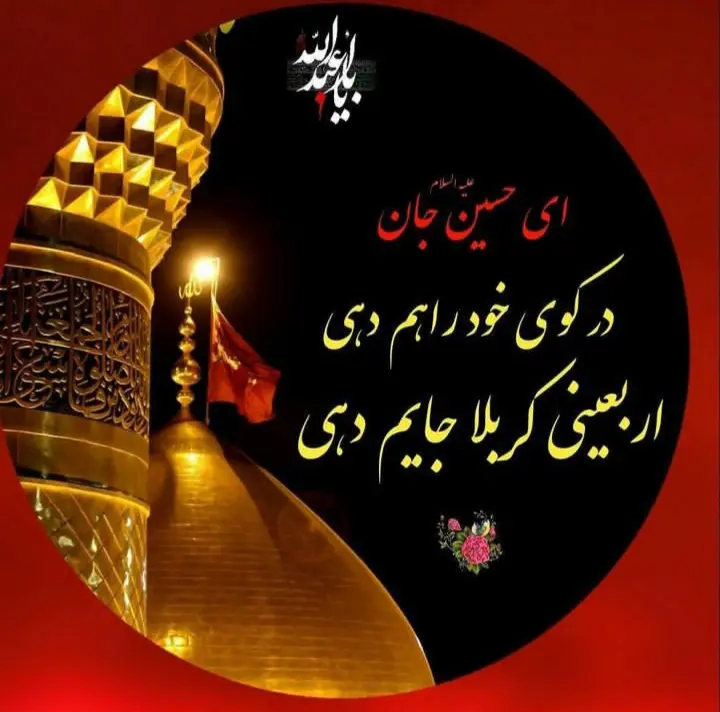 استوری عازم کربلا هستم حلالم کنید (28)