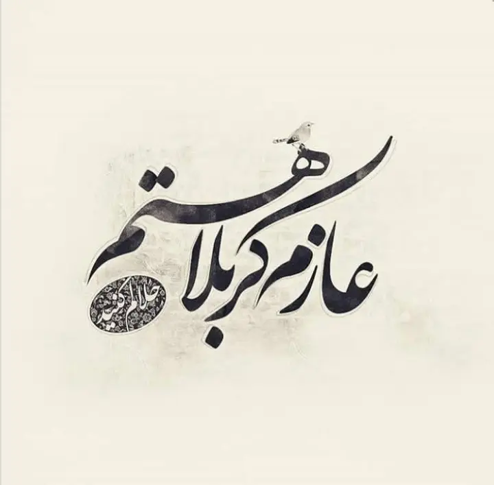 استوری عازم کربلا هستم حلالم کنید (4)