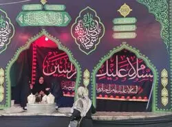 پاکی و پایداری 
