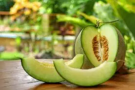 چرا ملون بخوریم؟ خاصیت ملون برای گرمازدگی، کم‌آبی و تقویت بدن