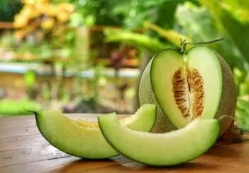 چرا ملون بخوریم؟ خاصیت ملون برای گرمازدگی، کم‌آبی و تقویت بدن