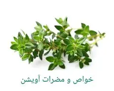  طبع آویشن چیست؟؛ خواص و مضرات آن