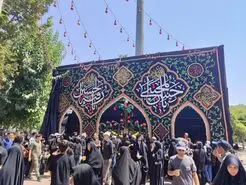 نماد خردورزی و حکمت